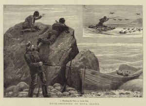 Chasse au canard en Nouvelle-Écosse - John Charles Dollman